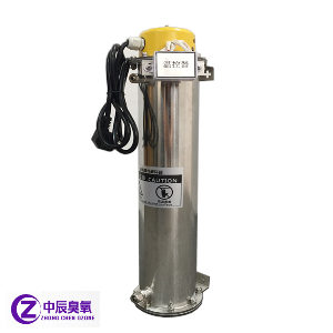 經(jīng)典款臭氧毀滅器、臭氧尾氣處理器